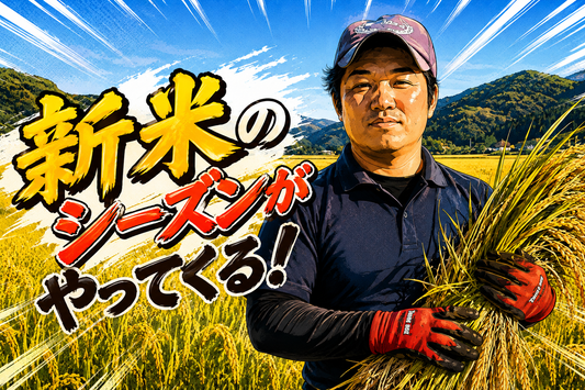 新米のシーズンがやってくる！