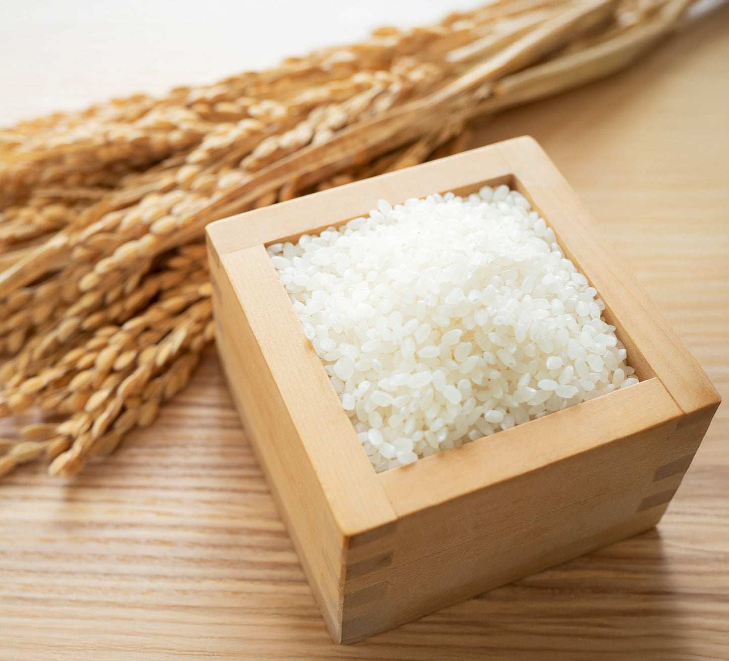 7年秋田産あきたこまち精米10㎏