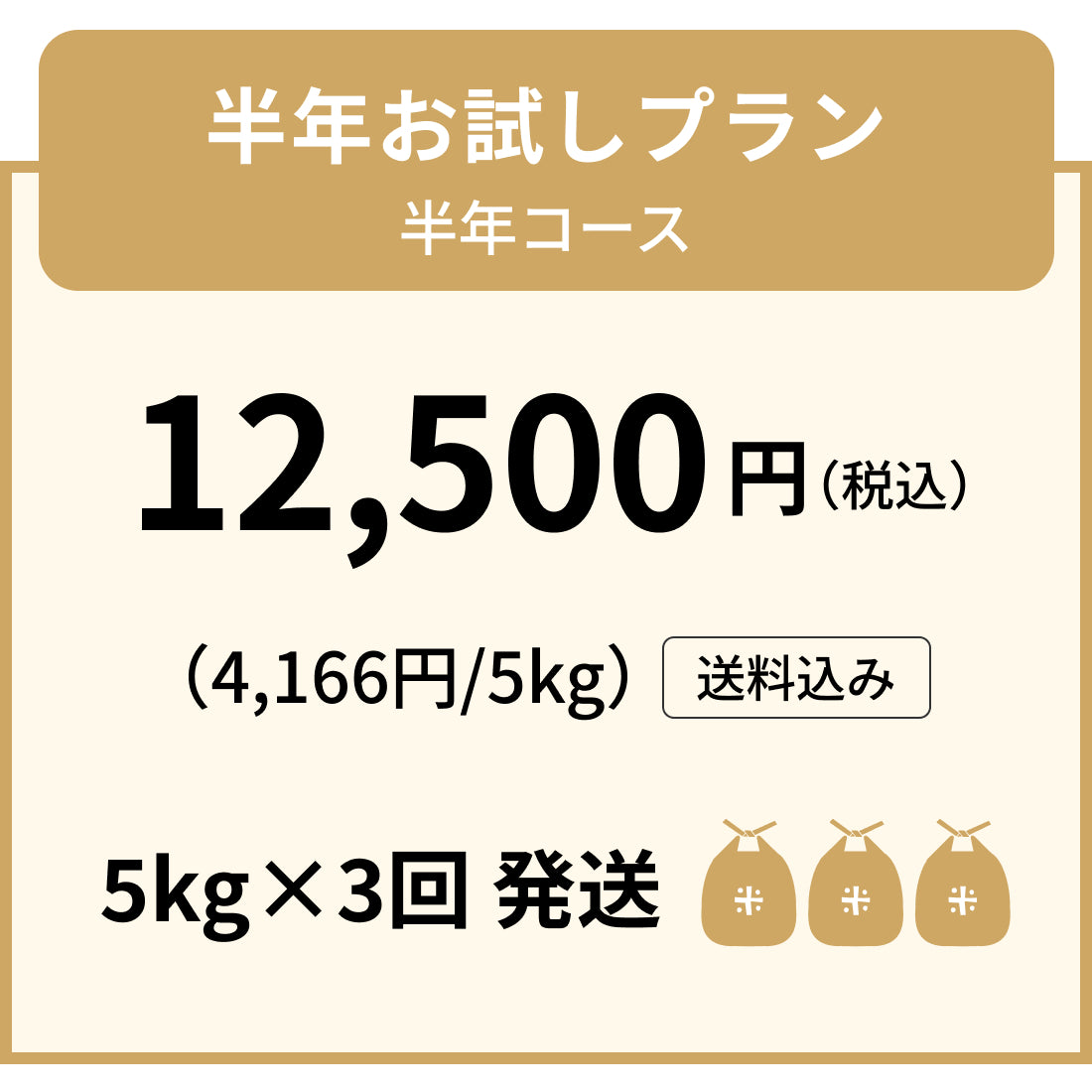 半年お試しプラン